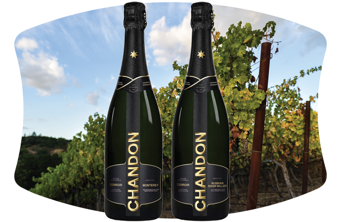 Chandon New Bottles in vineyard