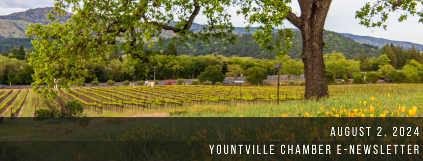 Yountville Chamber: August 2 Newsletter