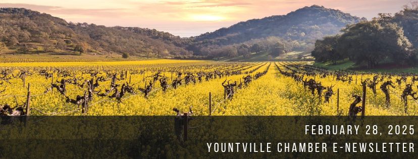 Yountville Chamber: February 28 Newsletter